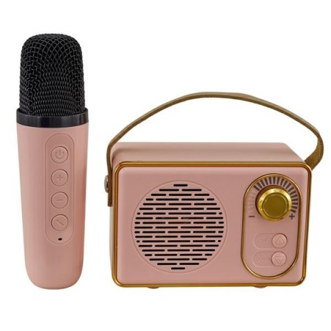 KARAOKE MAGIC RADIOMICROFONO ROSA